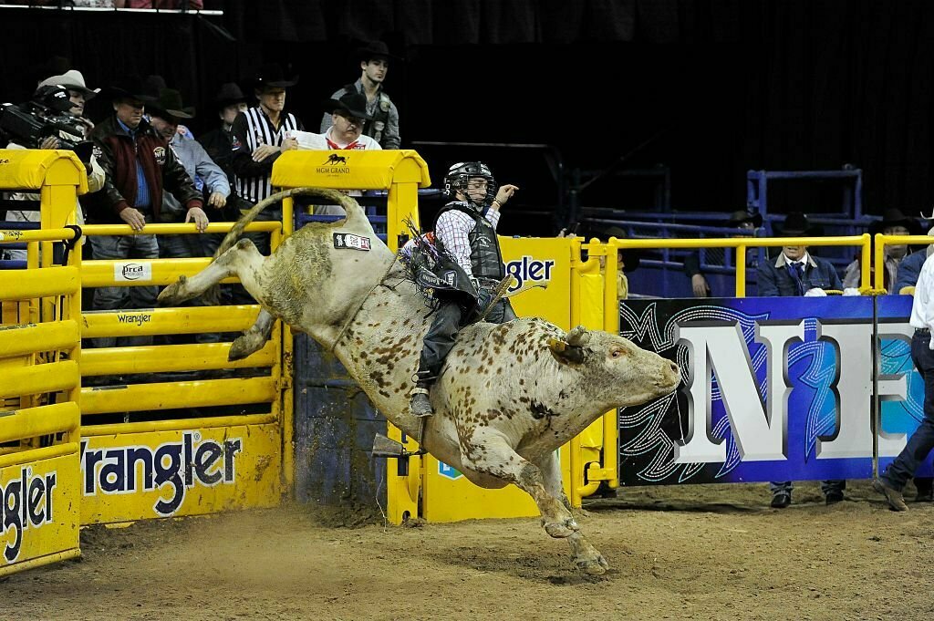 Watch NFR Live Stream 2023 Las Vegas Rodeo Online Rodeo Sports News